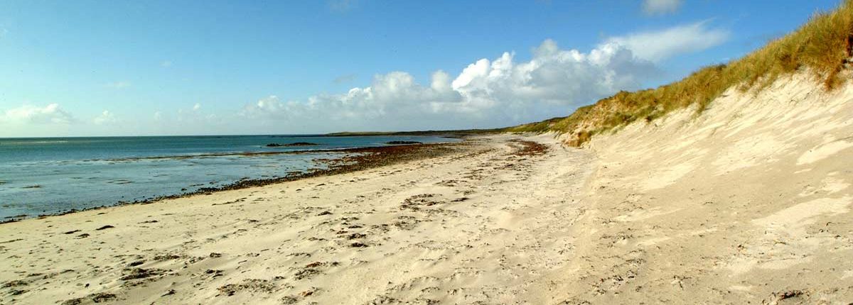 Pristine beach